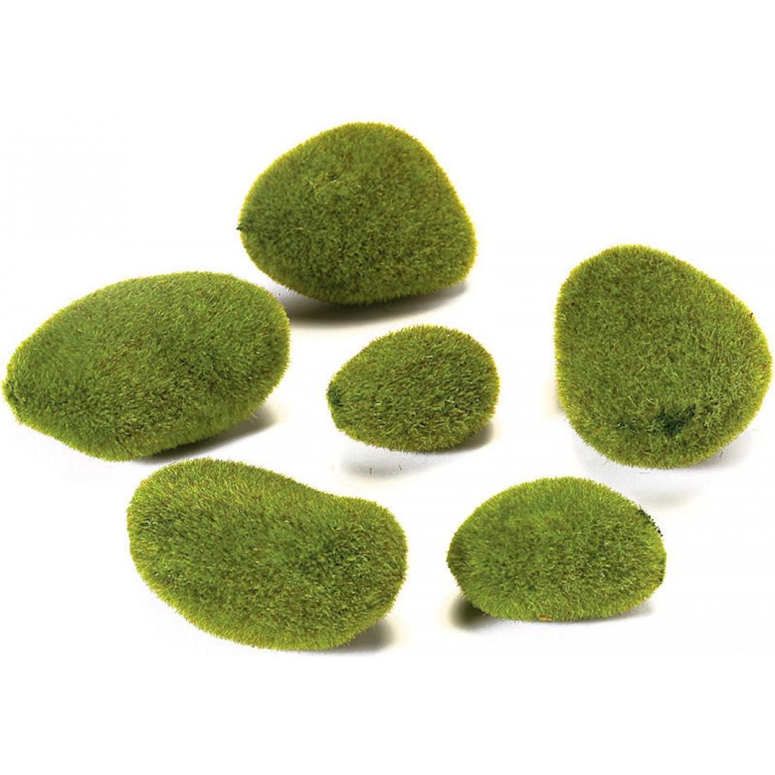 Moss Assorted - View 12 from www redcrocus com