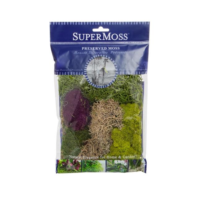Moss Assorted - View 14 from www redcrocus com