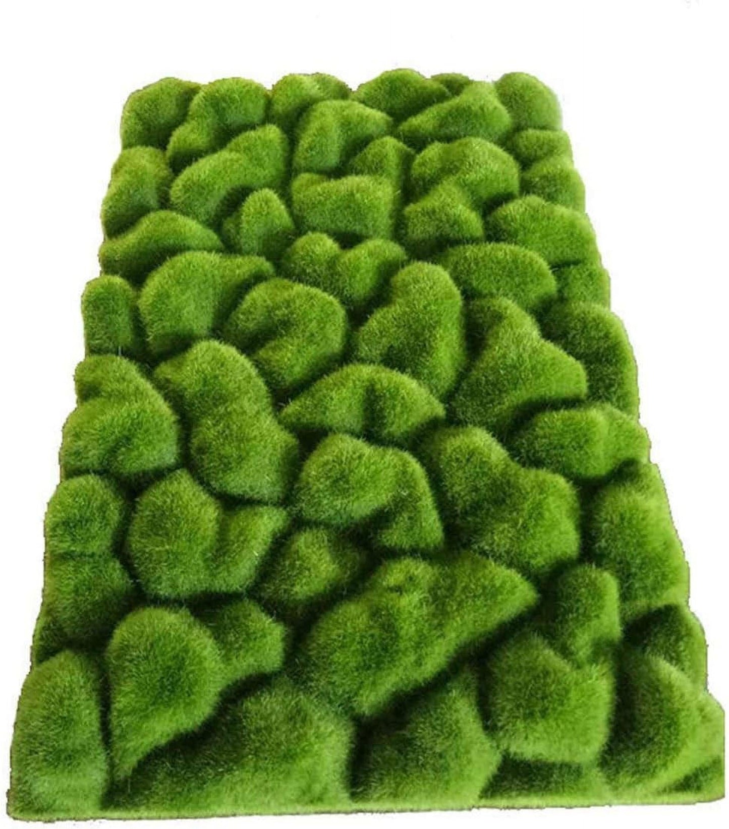 Moss Assorted - View 17 from www redcrocus com
