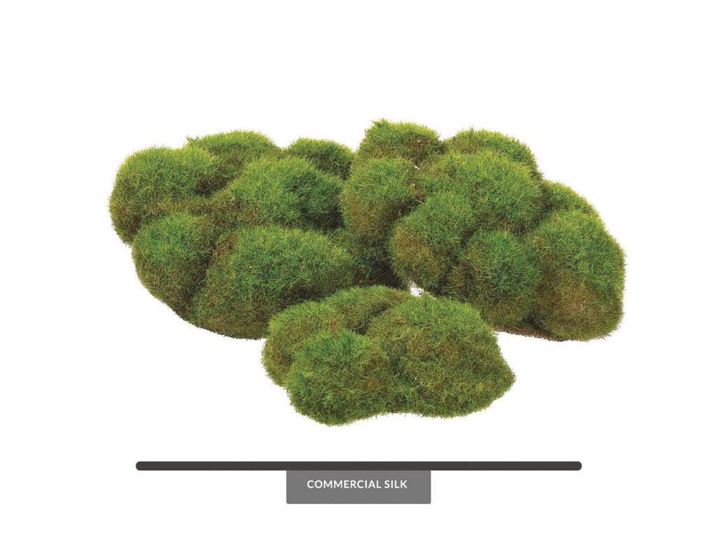 Moss Assorted - View 19 from www redcrocus com