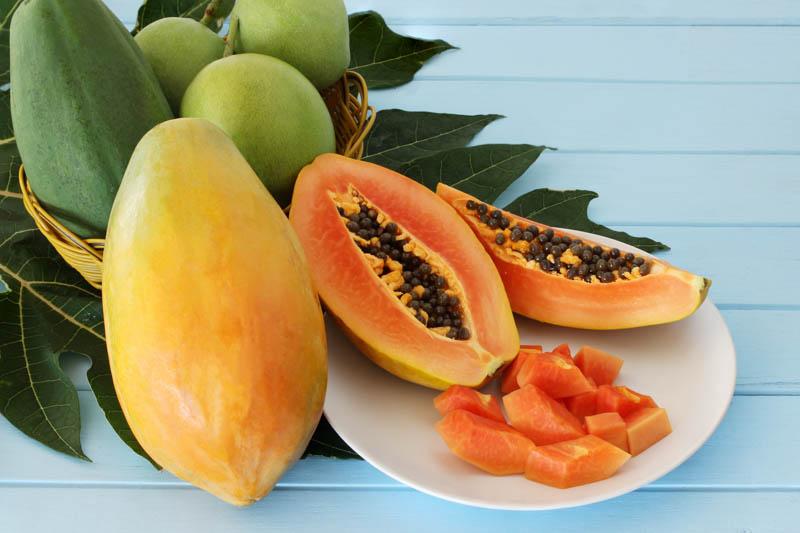 Carica Papaya (papaya) - View 25 from www redcrocus com