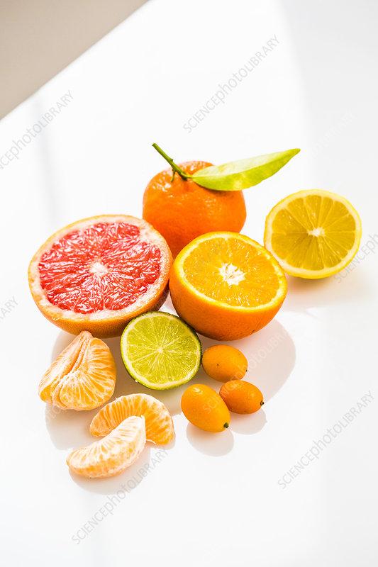 Citrus Lemon Assorted Standard - View 8 from www redcrocus com