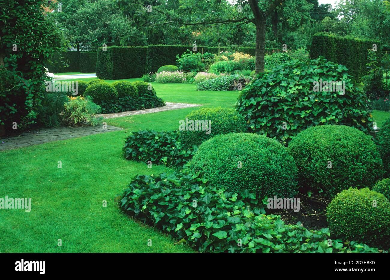 Hedera Helix Hoop Topiary - View 13 from www redcrocus com