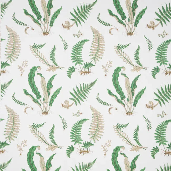 Special Order Tropical - View 31 from www redcrocus com