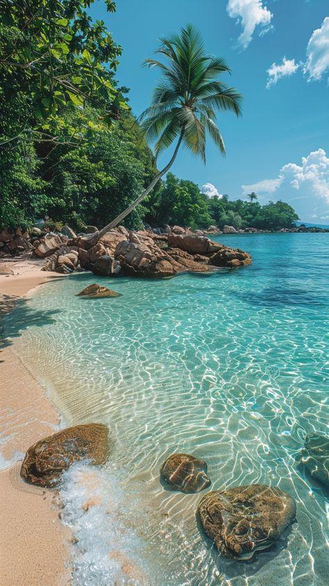 Special Order Tropical - View 35 from www redcrocus com