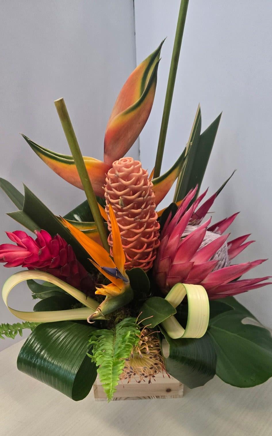 Special Order Tropical - View 5 from www redcrocus com