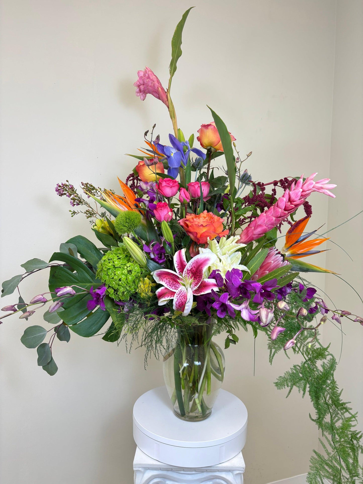 Special Order Tropical - View 7 from www redcrocus com