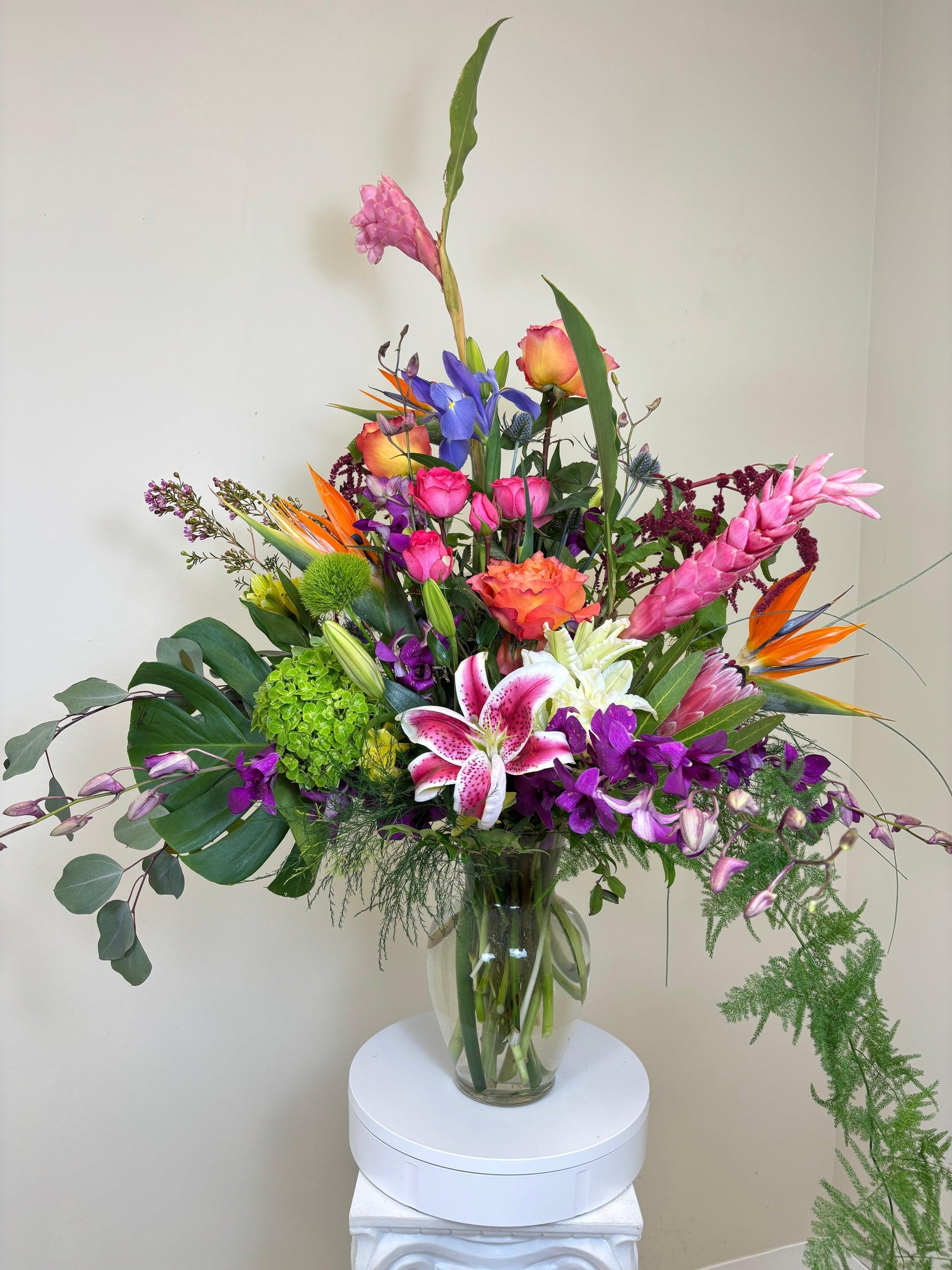 Special Order Tropical - View 7 from www redcrocus com