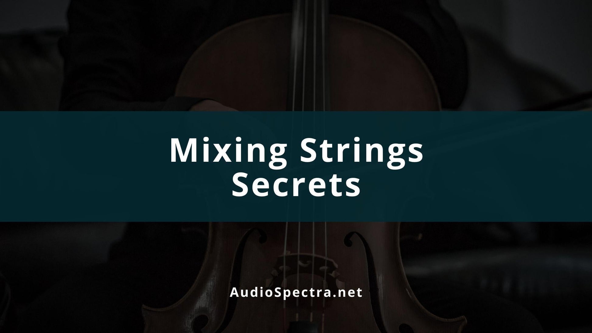 String Mix - View 2 from www redcrocus com