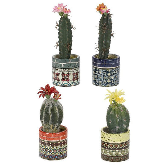 Cactus, Assorted, Ceramic - View 1 from www redcrocus com