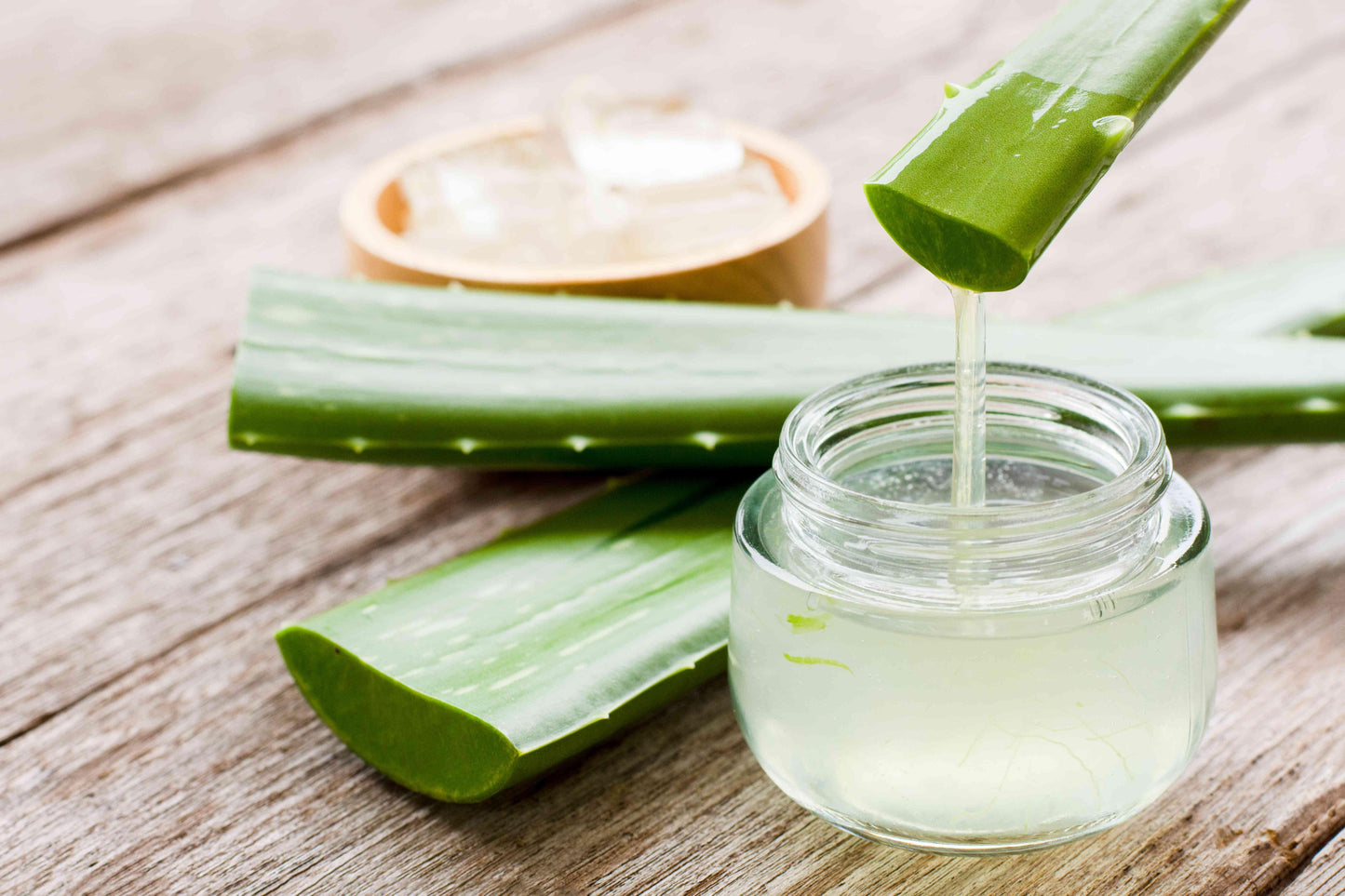 Aloe Vera - View 14 from www redcrocus com