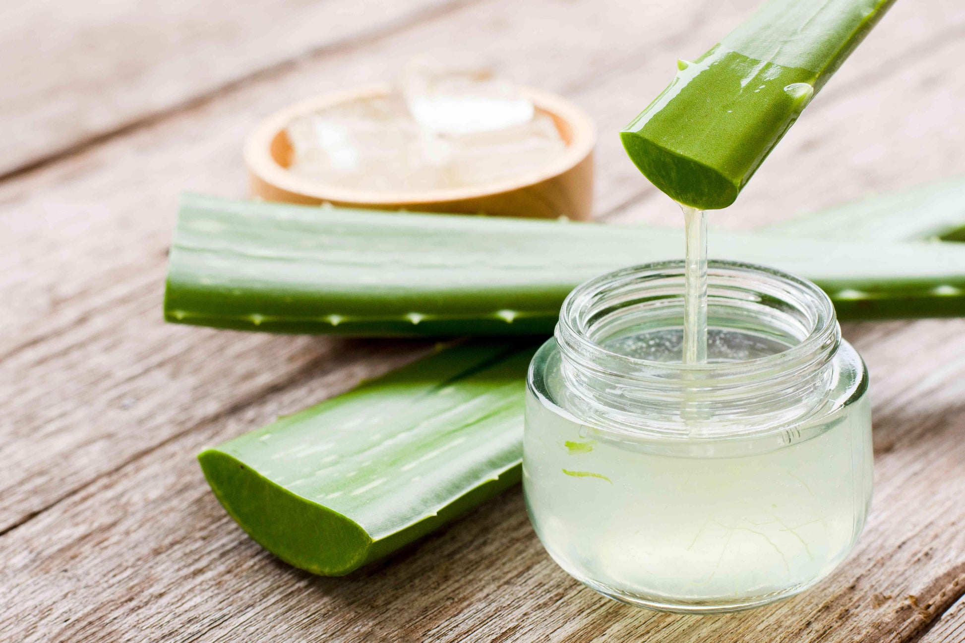 Aloe Vera - View 14 from www redcrocus com