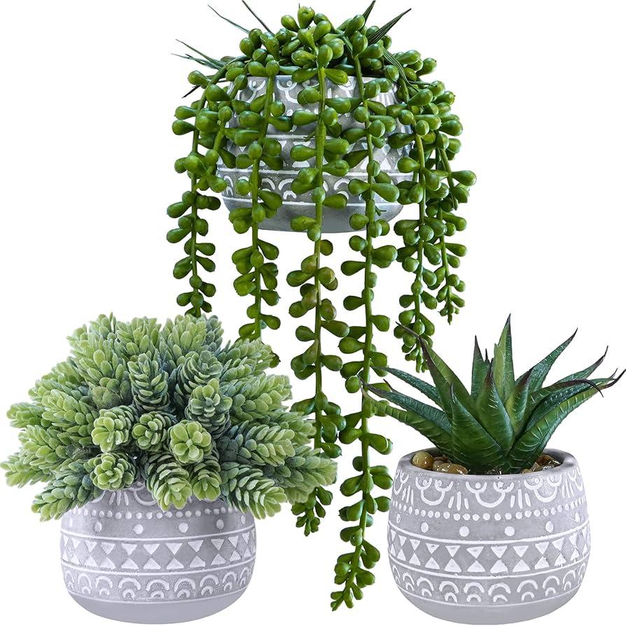 Succulent, String, Assorted - View 2 from www redcrocus com