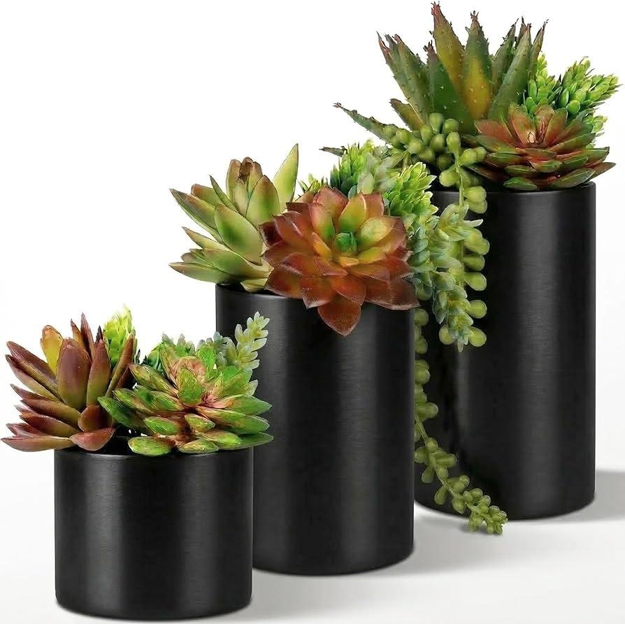 Succulent, Assorted Ceramic - View 10 from www redcrocus com