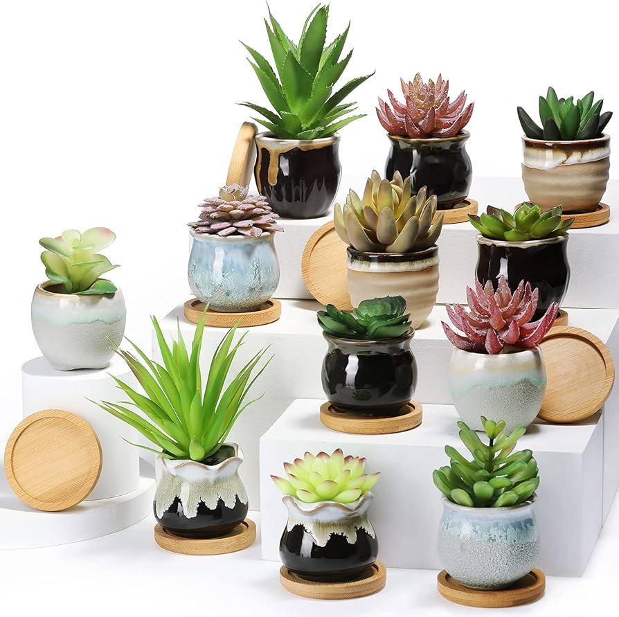 Succulent, Assorted Ceramic - View 12 from www redcrocus com