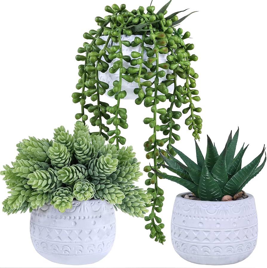 Succulent, Assorted Ceramic - View 14 from www redcrocus com