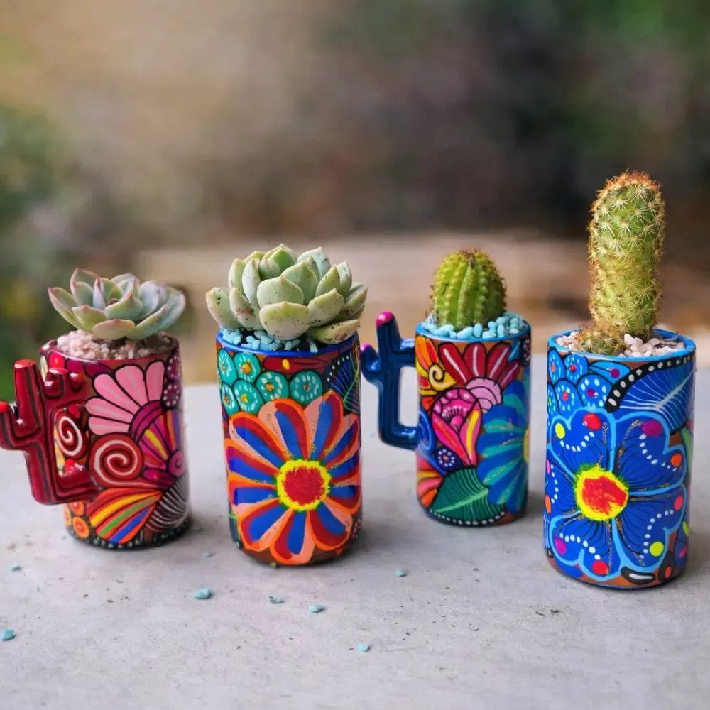 Succulent, Assorted Ceramic - View 16 from www redcrocus com