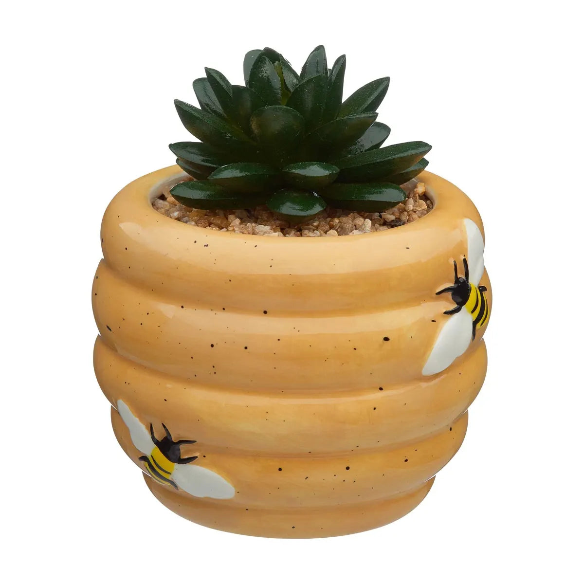 Succulent, Assorted Ceramic - View 24 from www redcrocus com