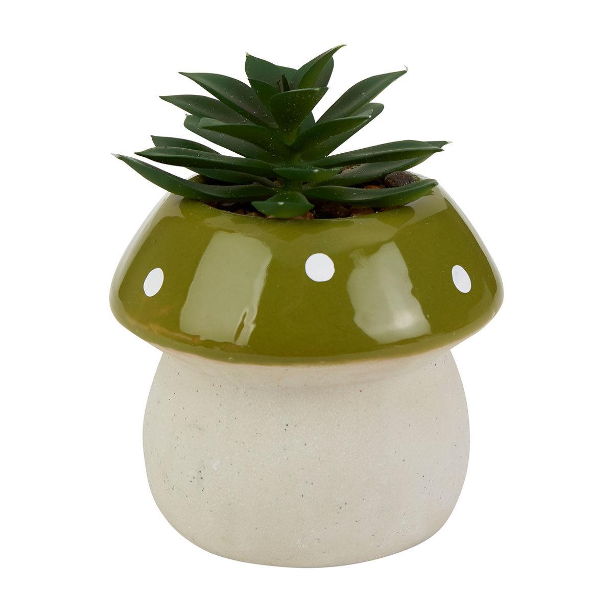 Succulent, Assorted Ceramic - View 30 from www redcrocus com